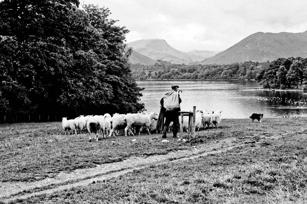 Bildarchiv Derwent Water, Lake District