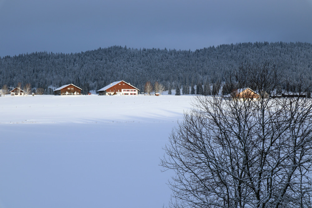 Bildarchiv Jura